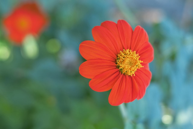 伊伦德更多 伊伦德更多