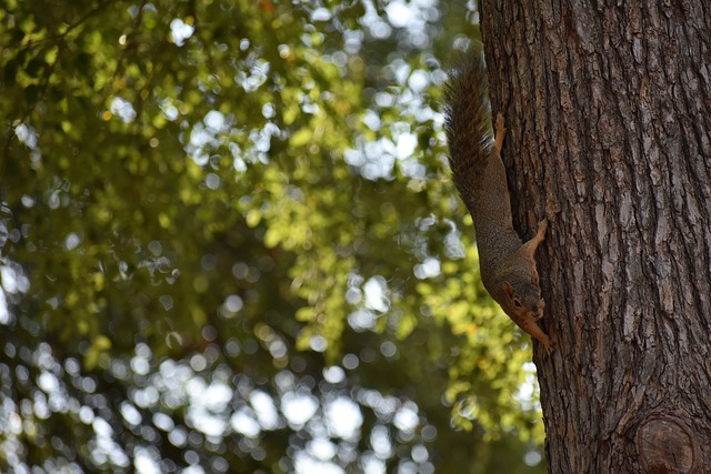 此外还有俱 此外还有俱