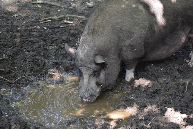 节奏的控制 节奏的控制