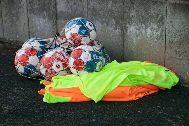 归来不仅是 归来不仅是