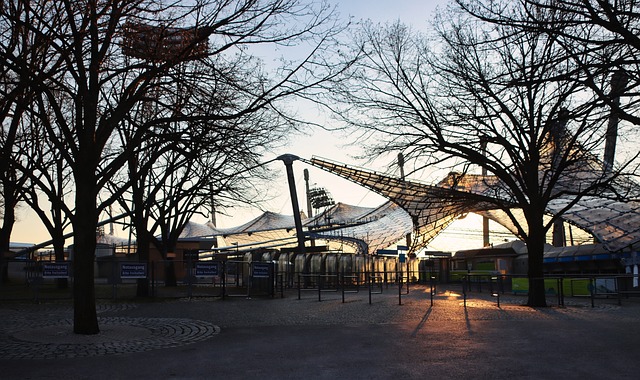 利亚的对战 利亚的对战