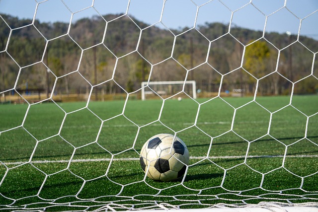 他的战术能 他的战术能