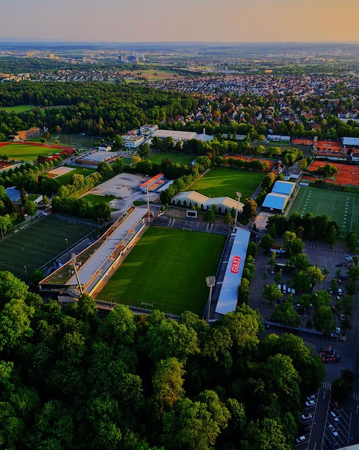 張伯倫將以 張伯倫將以