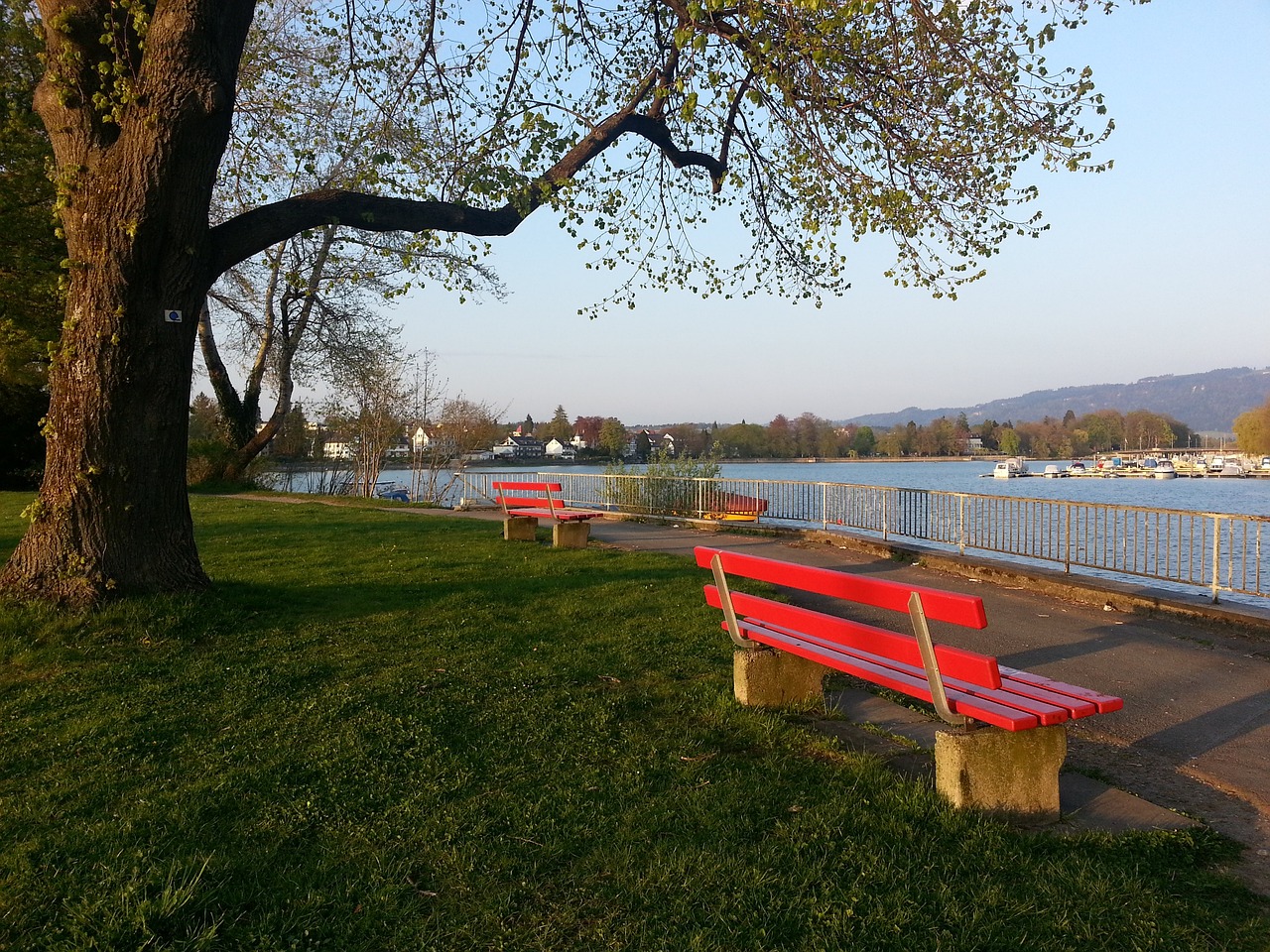 对稳定的生 对稳定的生